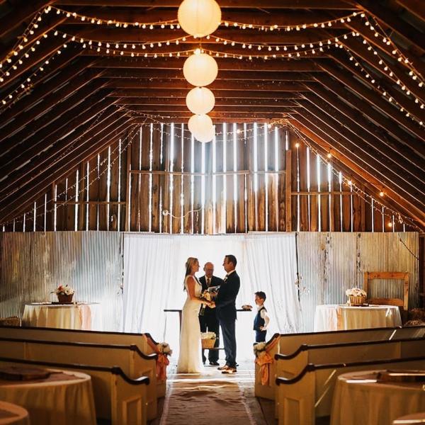 Hidden Valley Wedding for "just the two of them," plus a very enthusiastic ring bearer, Stratton Sarradet.