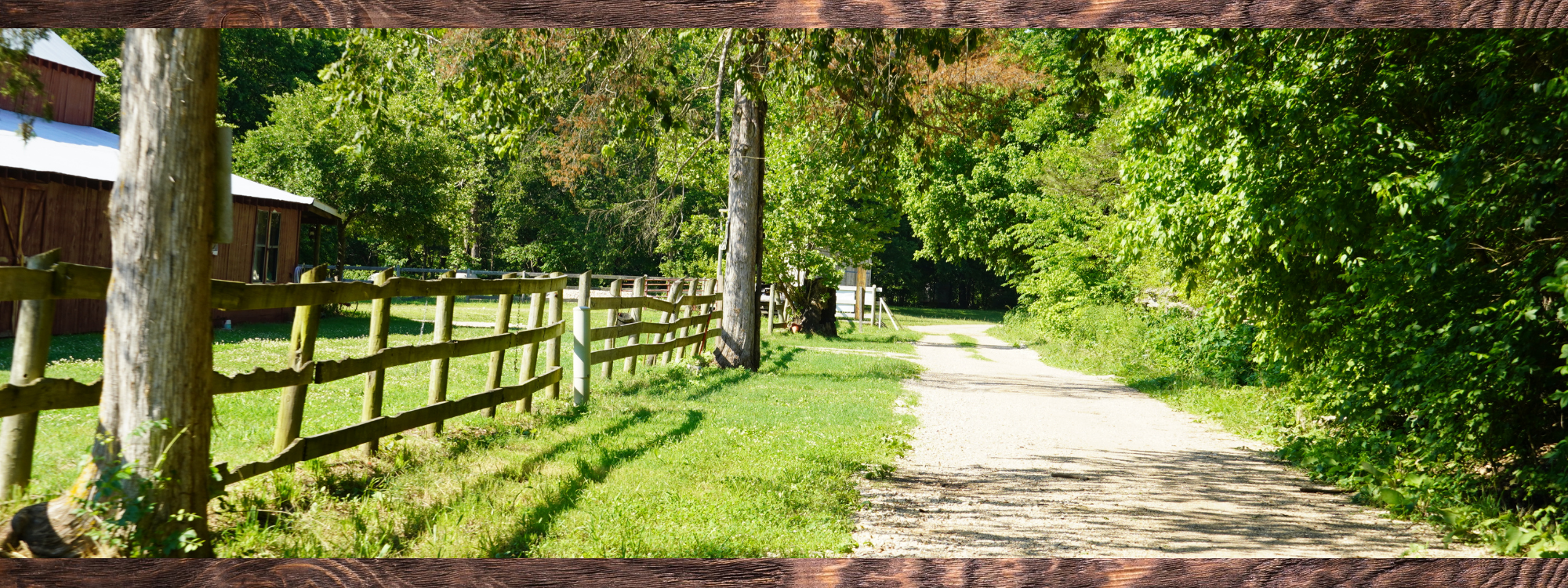 outdoor view of cabin and gravel road 